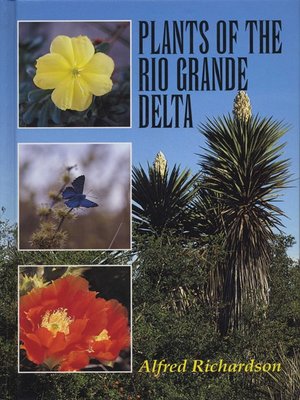 cover image of Plants of the Rio Grande Delta
